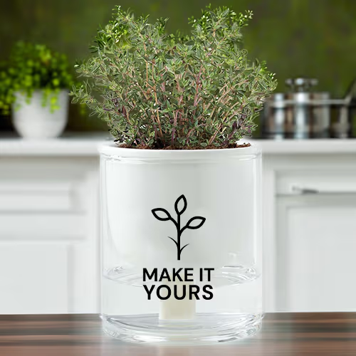 self watering planter resting on kitchen counter with sprouts growing from it